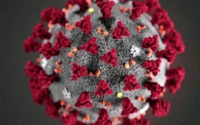 NMSA Coronavirus Updates